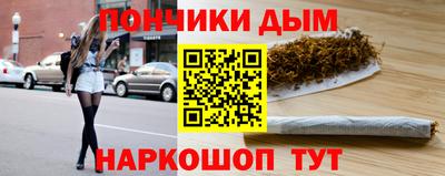 крисы Анжеро-Судженск