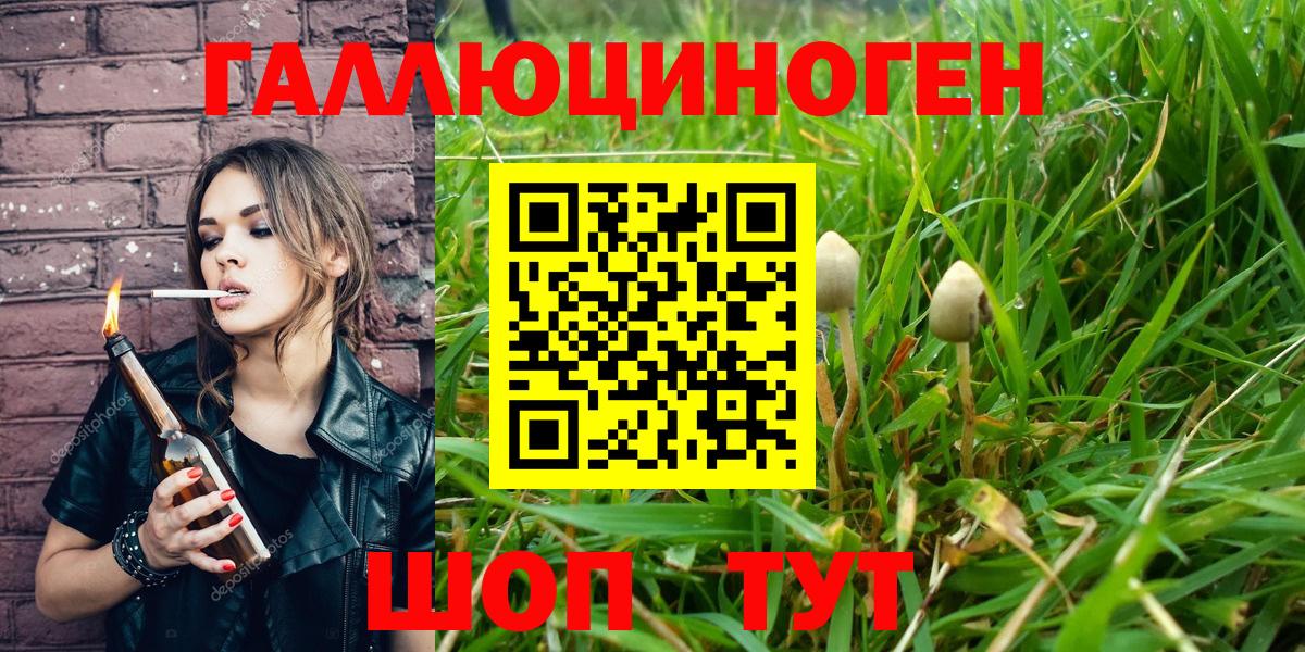 Псилоцибиновые грибы Cubensis  Вход с VPN  где купить   Белово 